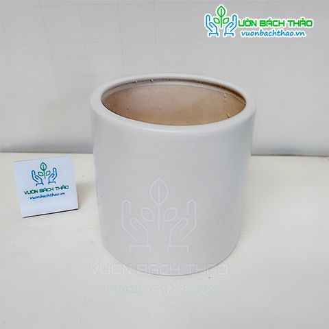 Chậu Trụ Tròn ĐK 15cm
