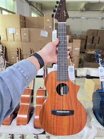 Ukulele Enya EUC-X1C