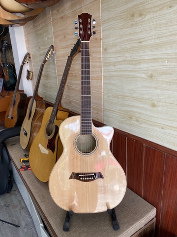 Guitar Sv11