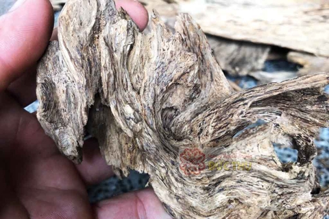 Trầm Hương Miếng