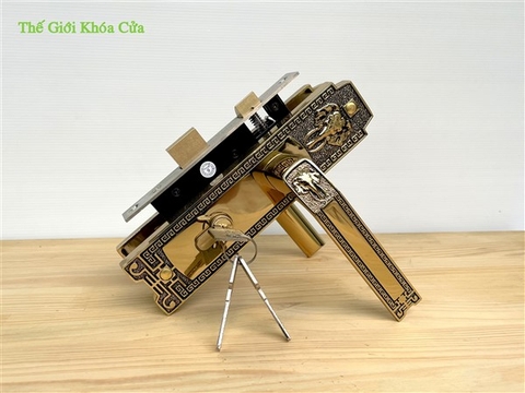 Khóa cửa bằng đồng Huy Hoàng HCP - 5828