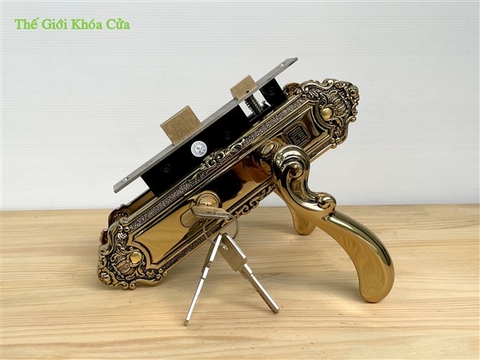 Khóa cửa bằng đồng Huy Hoàng HCP - 5829