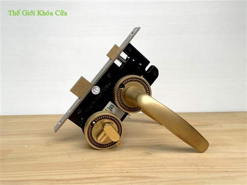 Khóa Đồng Phân Thể Huy Hoàng PTHCX - 5866