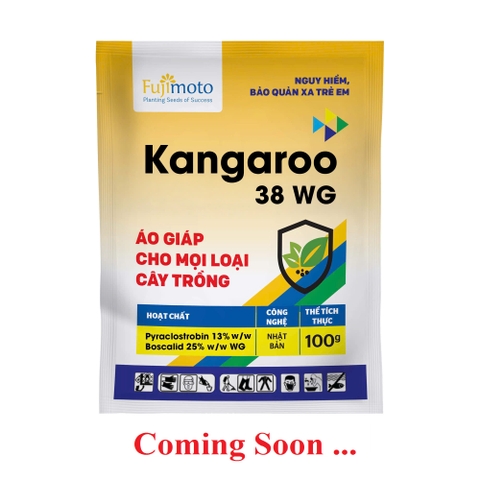 Kangaroo 38 WG