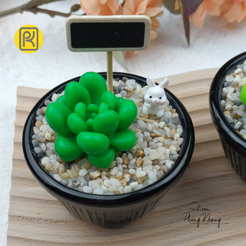 Khuôn silicon sen đá