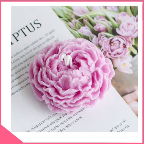 Khuôn silicon 4d làm rau câu hoa mẫu đơn