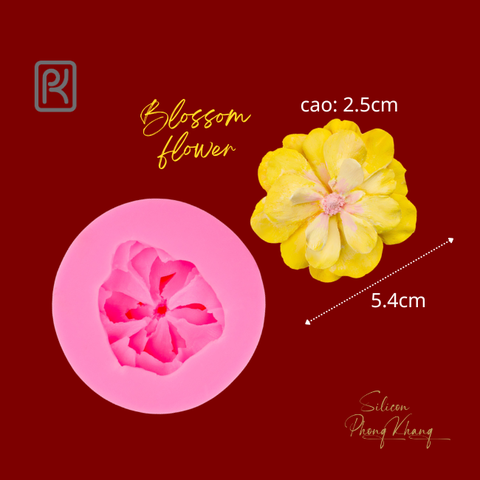 Khuôn silicon hoa mai