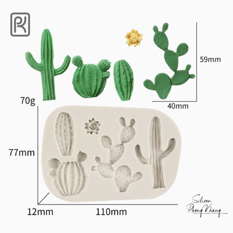 Khuôn silicon xương rồng
