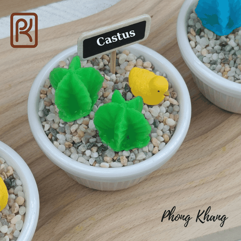 Khuôn silicon 4d làm rau câu hình xương rồng