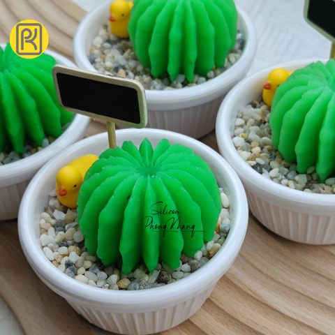 Khuôn silicon xương rồng