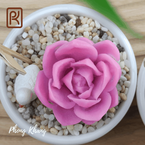 Khuôn silicon 4d làm rau câu sen đá