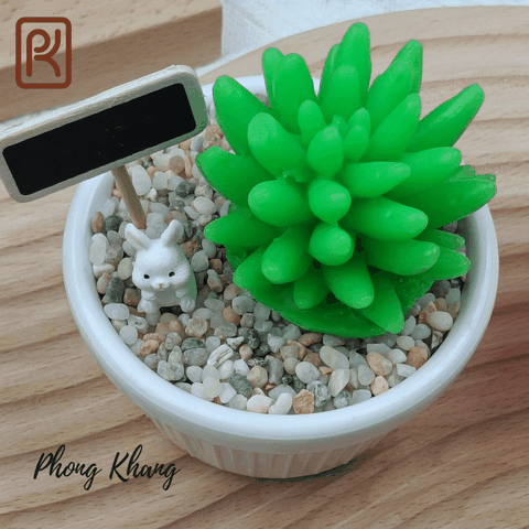 Khuôn silicon 4d làm rau câu sen chuỗi ngọc