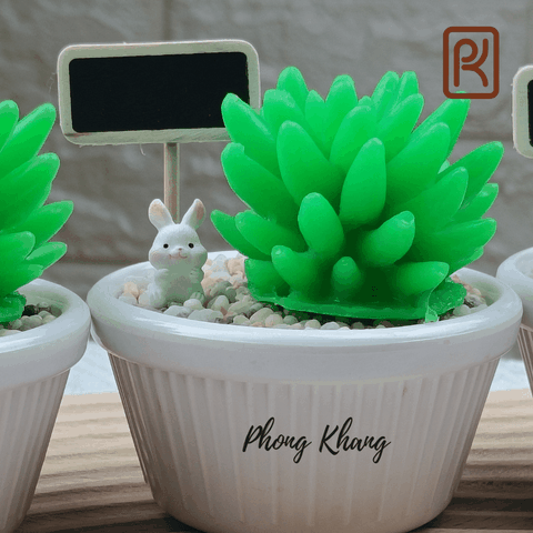 Khuôn silicon 4d làm rau câu sen chuỗi ngọc