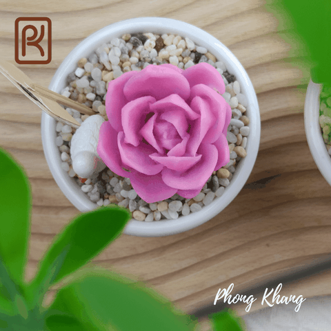 Khuôn silicon 4d làm rau câu sen đá