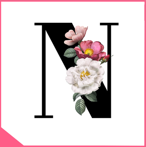 Mica chữ rau câu alphabet - chữ N