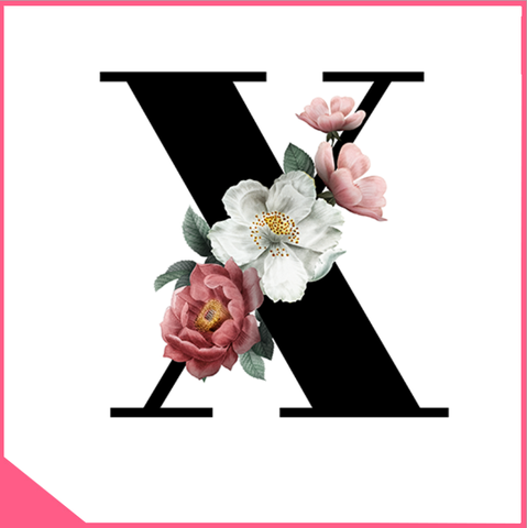 Mica chữ rau câu alphabet - chữ X