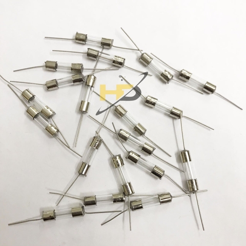 Cầu Chì Thủy Tinh F20A 250V 5x20mm Chân Cắm