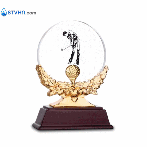 CÚP NGHỆ THUẬT – STV91V204