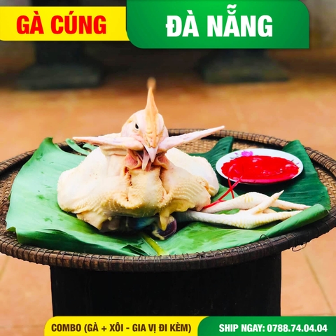 gà cúng đà nẵng