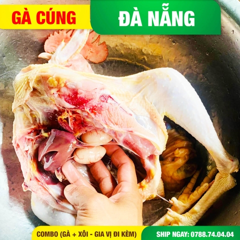 gà cúng đà nẵng