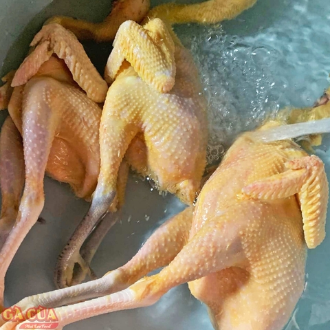 Đặc Biệt - Thịt Gà Thả Rong