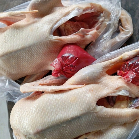 Vịt Cỏ Thả Đồng I Thịt Tươi
