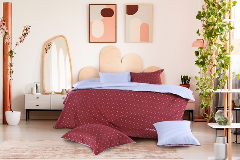 Bộ Chăn Ga Gối Hanvico My Youth - MY42