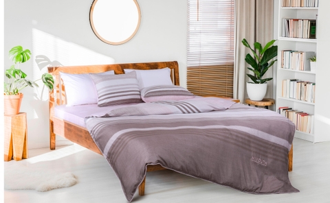 Bộ Chăn Ga Gối Hanvico My Youth - MY51