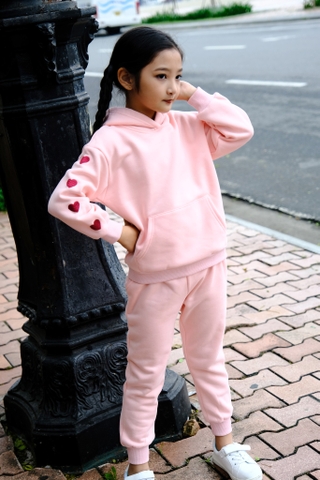 BỘ NỈ TIM 3090 S2