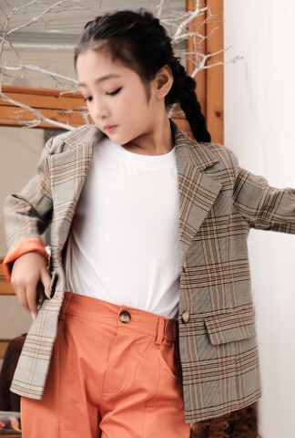 ÁO VEST KẺ Ô 2927_AOKHOAC