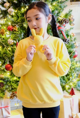 A96 - Áo thỏ bông - 2562A