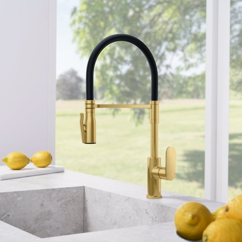 Vòi rửa bát Fortis Lica Flex