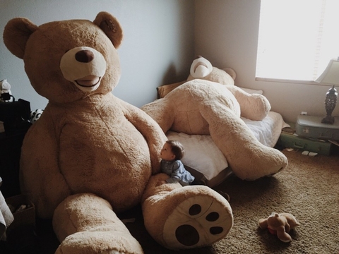 GẤU BÔNG CÓ Ý NGHĨA GÌ TRONG TÌNH YÊU, TÌNH BẠN?