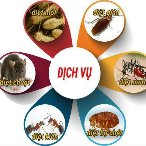 Sản Phẩm Khác
