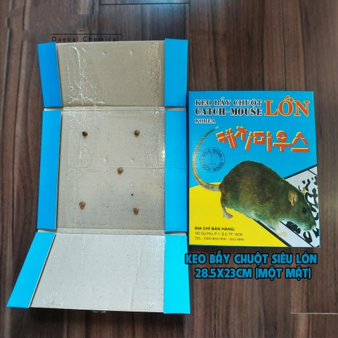 Keo Bẫy Chuột Lớn