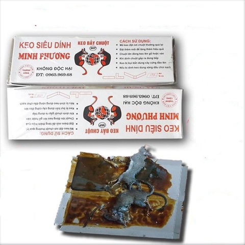 Keo Dính Chuột Minh Phương