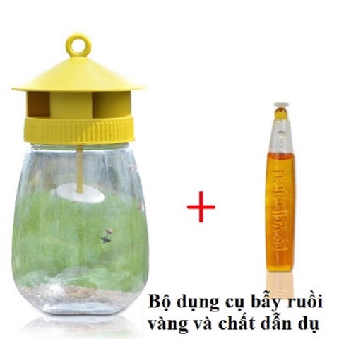 Lồng Bẫy Ruồi Vàng Đục Trái Có Chất Dẫn Dụ