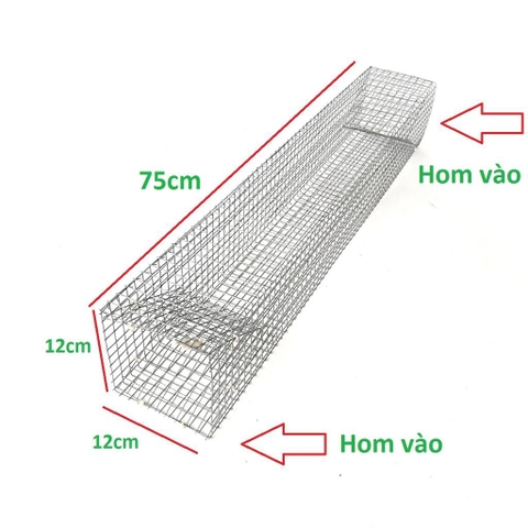 Lồng Bẫy Rắn
