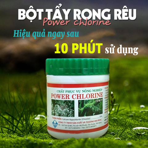 Chất Tẩy Rong Rêu Power Chlorine 70WP