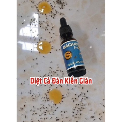 Thuốc Diệt Kiến Gián Bách Khoa Biotech