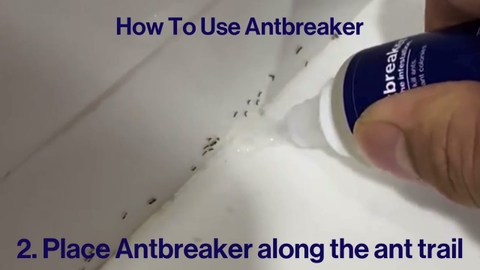 Thuốc Diệt Kiến AntBreaker