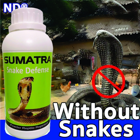 Bột Đuổi Rắn - Rết - Bọ Cạp Sumatra