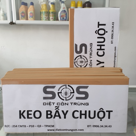 Keo Dính Chuột - Tấm Gỗ