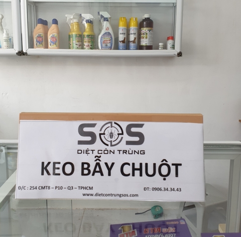 Keo Dính Chuột - Tấm Gỗ