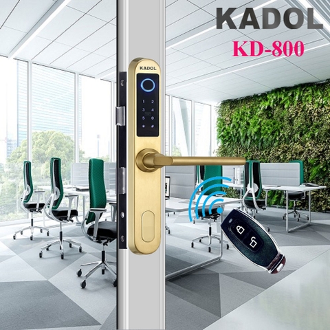 KADOL KD-800