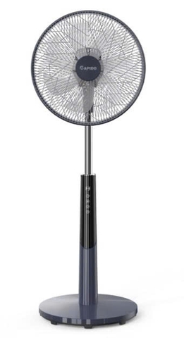 Quạt Đứng Rapido RWF-50PBD-1 Điều Khiển Từ Xa