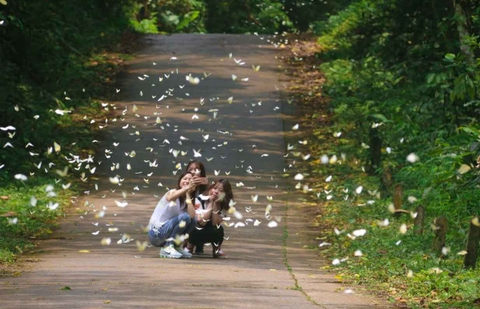 CUC PHUONG NATIONAL PARK FULL-DAY ECO TOUR