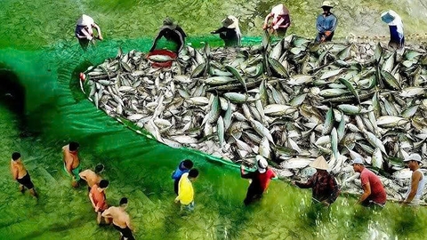 HA LONG HERITAGE HALF-DAY TOUR