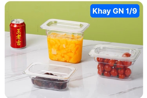 Khay Nhựa Đựng Buffet GN 1/9- [ Kích Thước: 17.4cm x 11cm ]