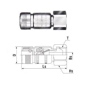 Khớp nối khí ga đầu cái ren trong 22SF